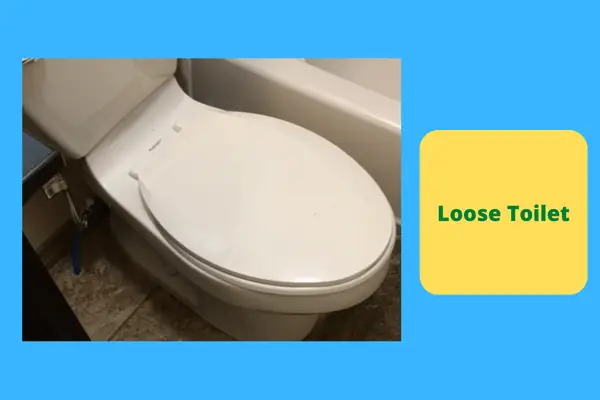 loose toilets