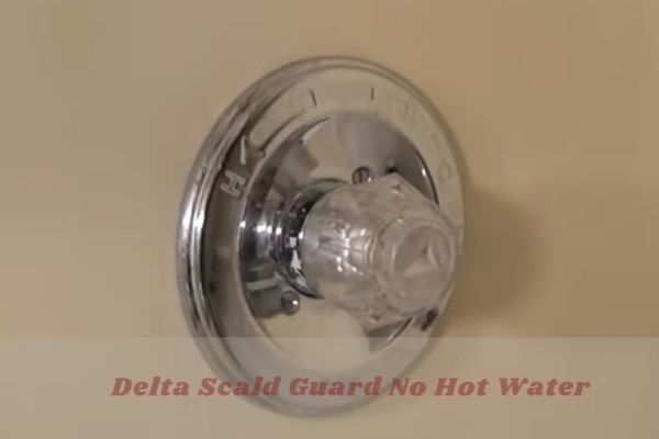 delta scald guard no hot water