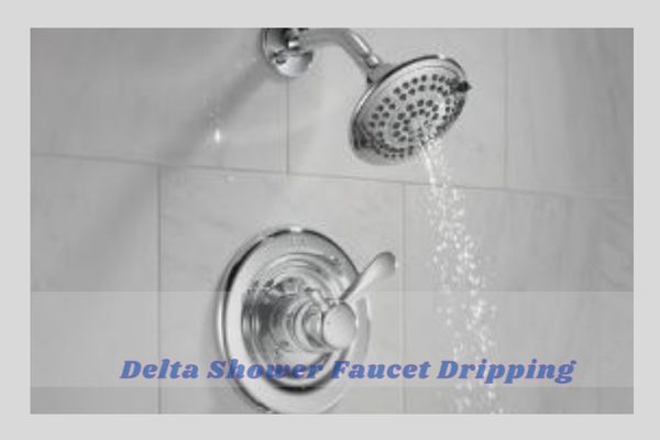 delta shower faucet dripping