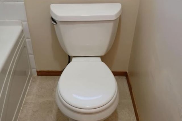 kohler toilet flush problems