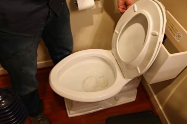 kohler toilet flush problems