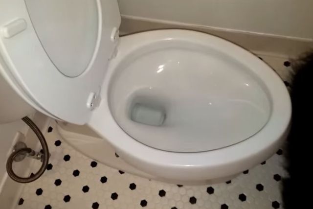 toilet flushes on its own