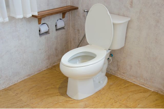 kohler toilet