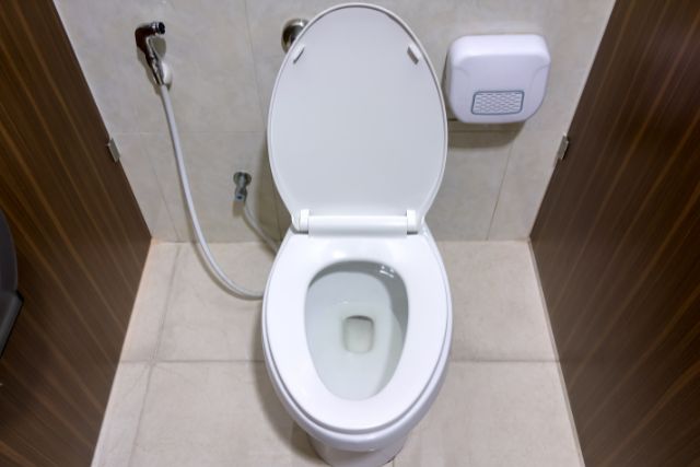 kohler toilet loud flush