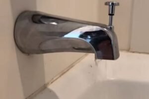 Shower Diverter Leaking [Why+ How To Fix]